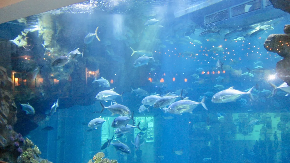 Dubai Aquarium in the Dubai Mall