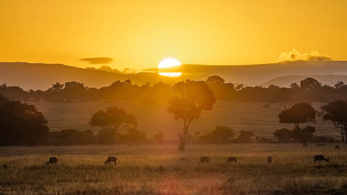 Sunset over the Masai Mara in Kenya